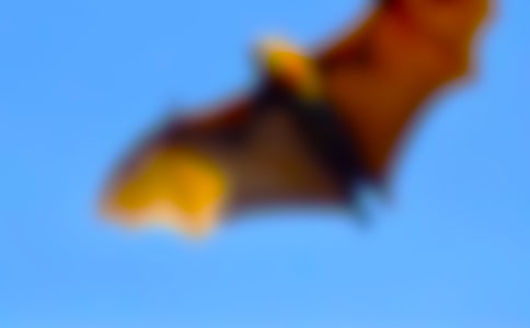 ����������ܶ����800��