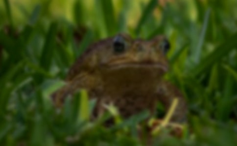 ��ܵ�ҩ�ü�ֵ����������