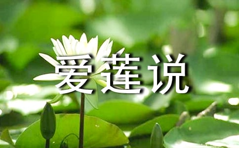 ����˵��ª��������ѧ���4ƪ