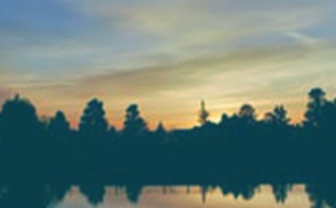 �ҿ�������������ľ�ɫ����