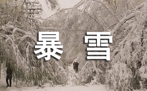 ���ٱ�ѩ���������꼶�������ģ�ͨ��15ƪ��