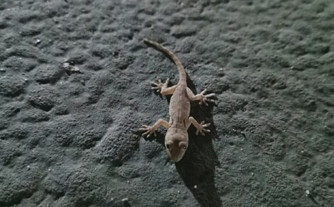 ��С�ڻ���β�͡��ĸ�д����400��