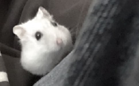 ��ʵ���˲���������