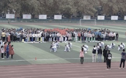 我们的操场小学作文范文