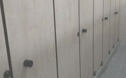 小班主题会上厕所教案