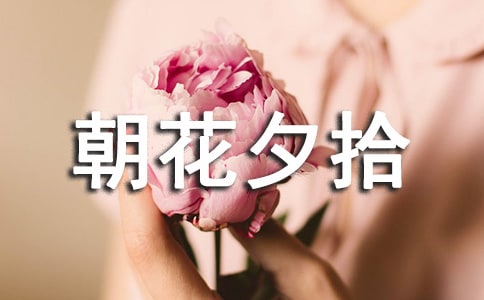 ����Ϧʰ-���õļ�������800��