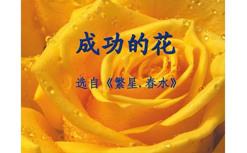 �ڴ����Ͽ����ɹ��Ļ�����