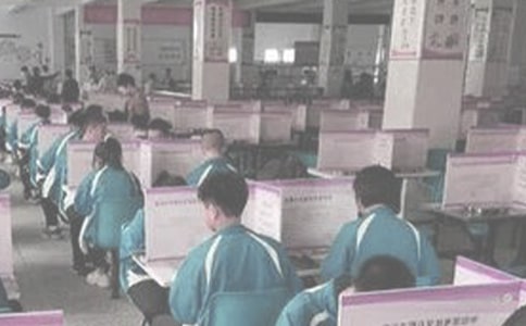 不吃饭的小狼狗童话作文