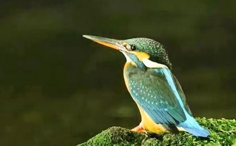 ���꼶�²�����ѧ��˼