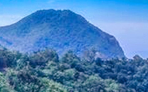 我心中的那一座大山550字作文