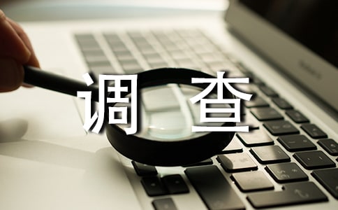 调查中的小插曲作文