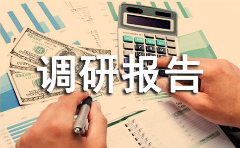 村建设工作调研报告