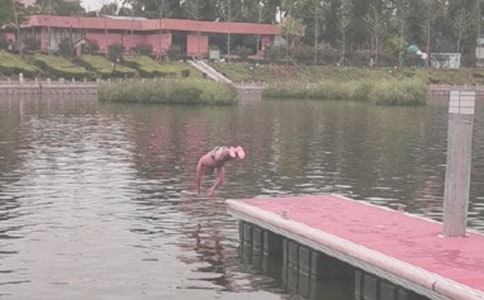 ��ӾСѧ����
