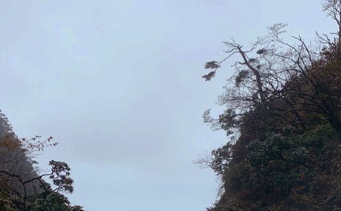 游峨眉山-游记