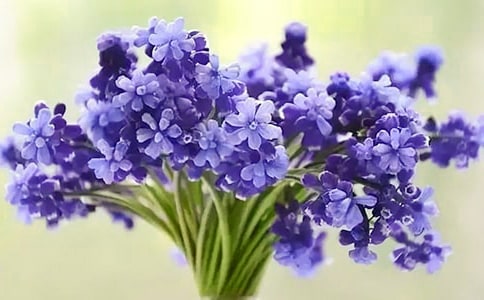 ����������(�ϼ�15ƪ)