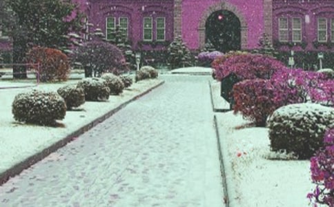 风雪的记忆作文