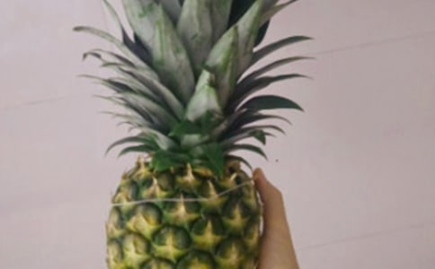 红星凤梨的花语是什么