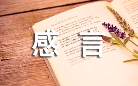 新春感言优秀作文