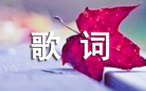 �������������¸衶���ǡ����