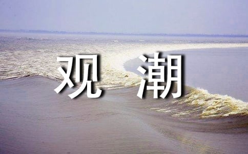 ��д�۳�����