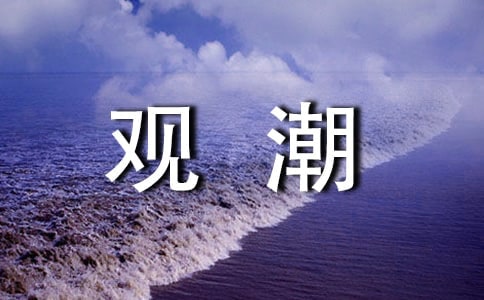 ���۳�����д����