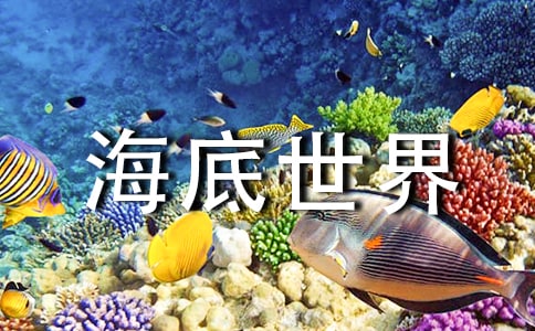 大连海底世界作文3篇