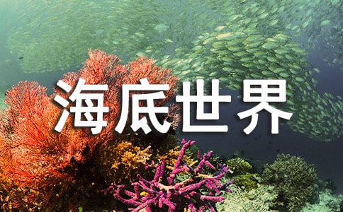 ��ʥ�Ǻ����������ģ���ѡ15ƪ��