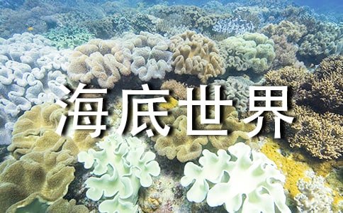【精选】海底世界的作文300字43篇