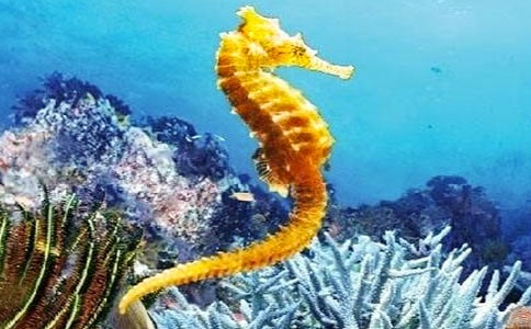 �й�ͯ�����£������ְ�