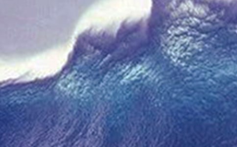 Ϊ��Х�����װ�������