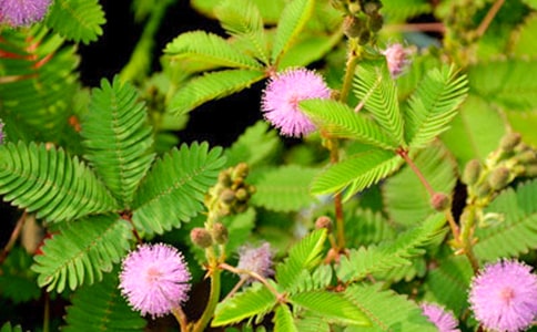 �۲캬�߲����ġ��Ƽ���