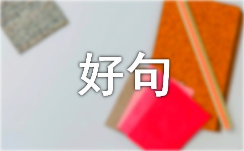 ������д�ĺþ���280��