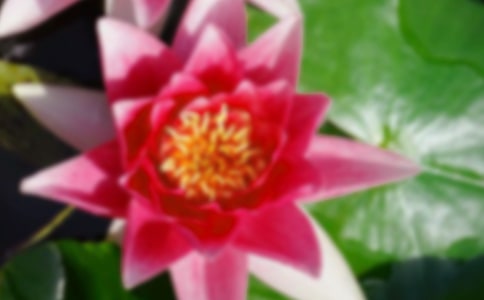������ĺɻ��������ģ���ѡ28ƪ��