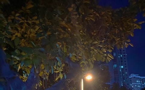 ��Ժ�ҹ���������мҵ�΢������