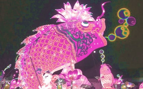 我的花灯作文350字