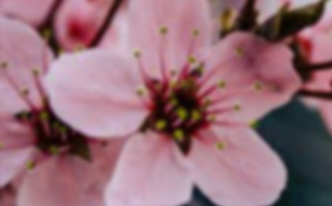 ���ڼ�����Ļ������ģ���ѡ104ƪ��