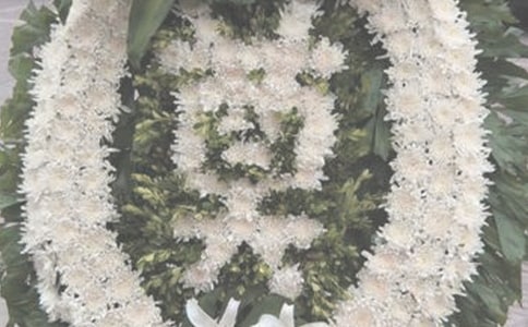 ����үү�ĵ��ʣ���ѡ23ƪ��