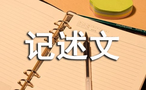关于窗外的800字记述文