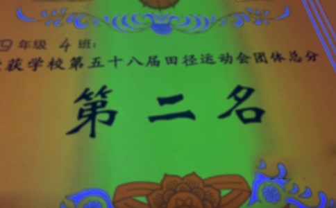 关于奖状作文600字(精选25篇)