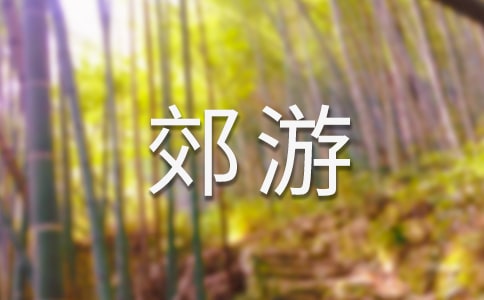 郊游天子山四年级作文