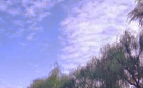 ���ܴ����ľ�ɫ����
