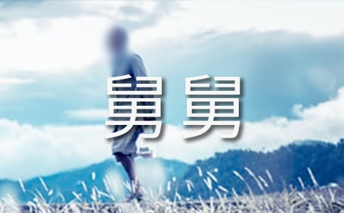 有关我的舅舅作文600字