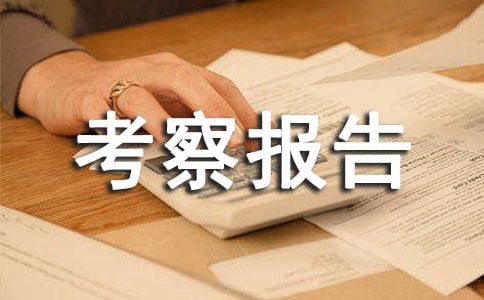 �ɲ����챨�������ʽ