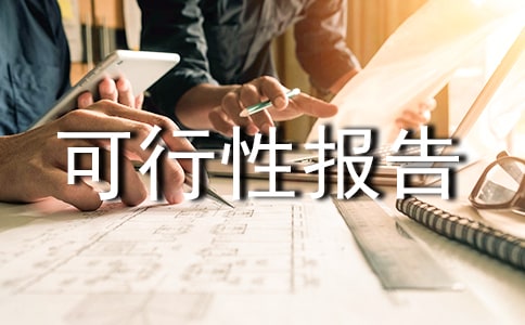 产品可行性报告如何写