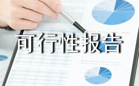 编写可行性报告