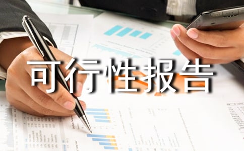 可行性报告模板
