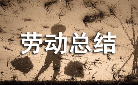 劳动周个人劳动总结