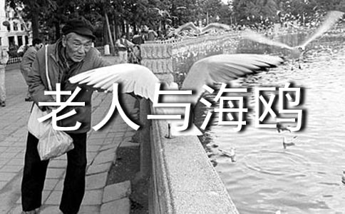 �����뺣Ÿ������������