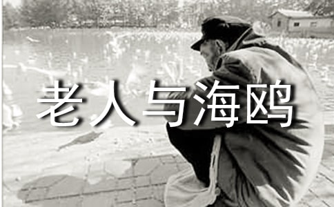 《老人与海鸥》课堂练笔作文