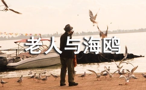 《老人与海鸥》课堂记录